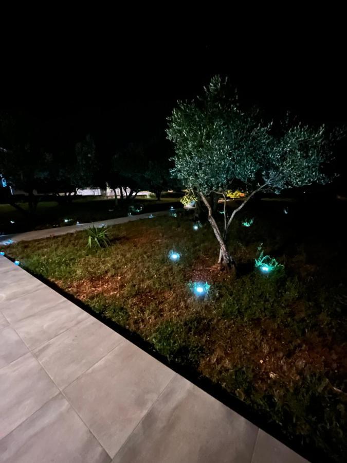 Apartman Oliva زادار المظهر الخارجي الصورة